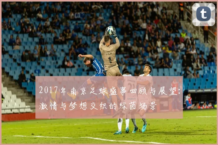 2017年南京足球盛事回顾与展望：激情与梦想交织的绿茵场景