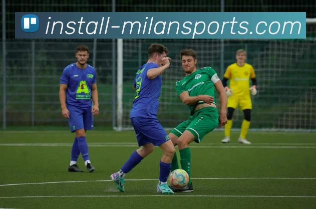 APP下载平台生态图